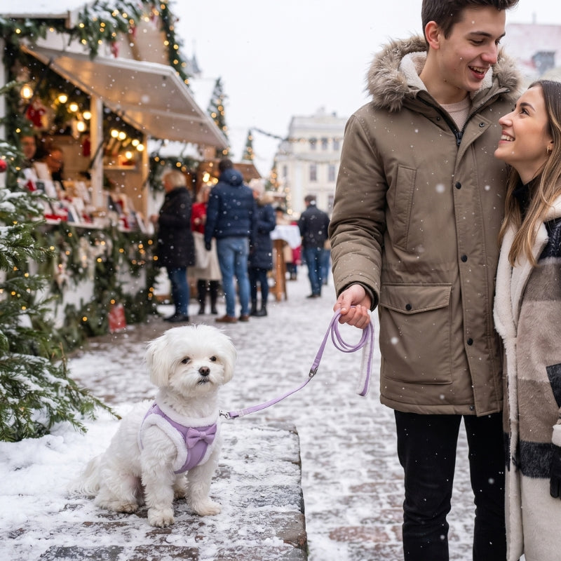 Harnais pour chien porté par un petit chien blanc en promenade sur une rue hivernale décorée avec un adulte en manteau beige des passants et des sapins enneigés
