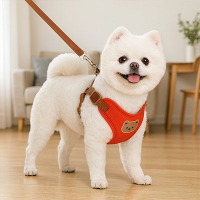 Harnais pour petit Chien Rouge à la maison