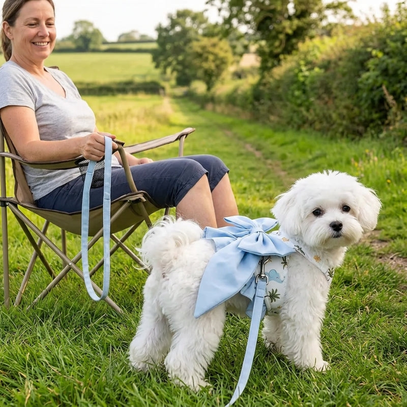 Harnais pour petit chien bleu à grand nœud chien blanc près d une femme assise dans l herbe