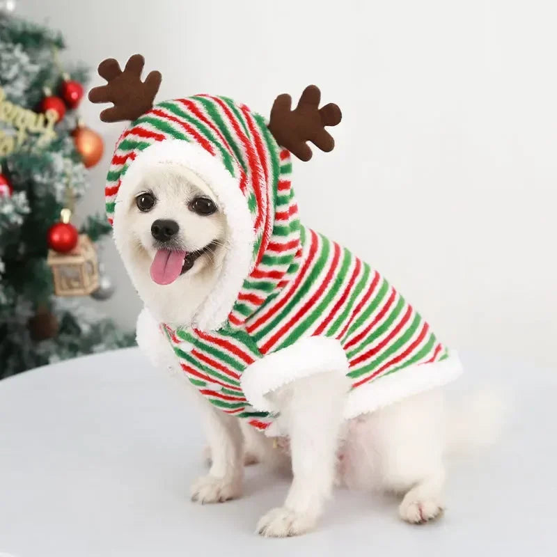 Costume Noël chien bariolé vert blanc rouge