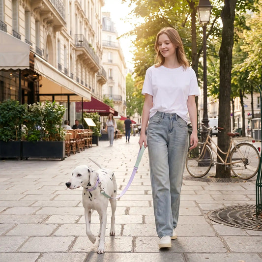 laisse pour chien | Rando ImperMax