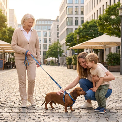 Maman chien saucisse laisse bleu
