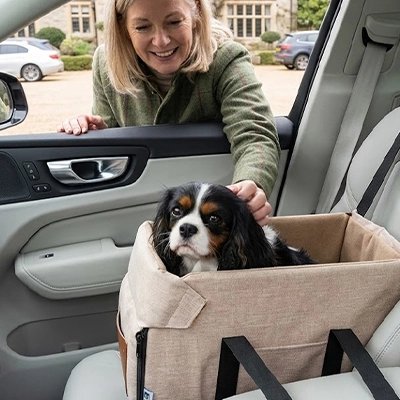 Siege auto pour chien une femme par la fenêtre de sa voiture caresse son chien qui est dans le siège auto