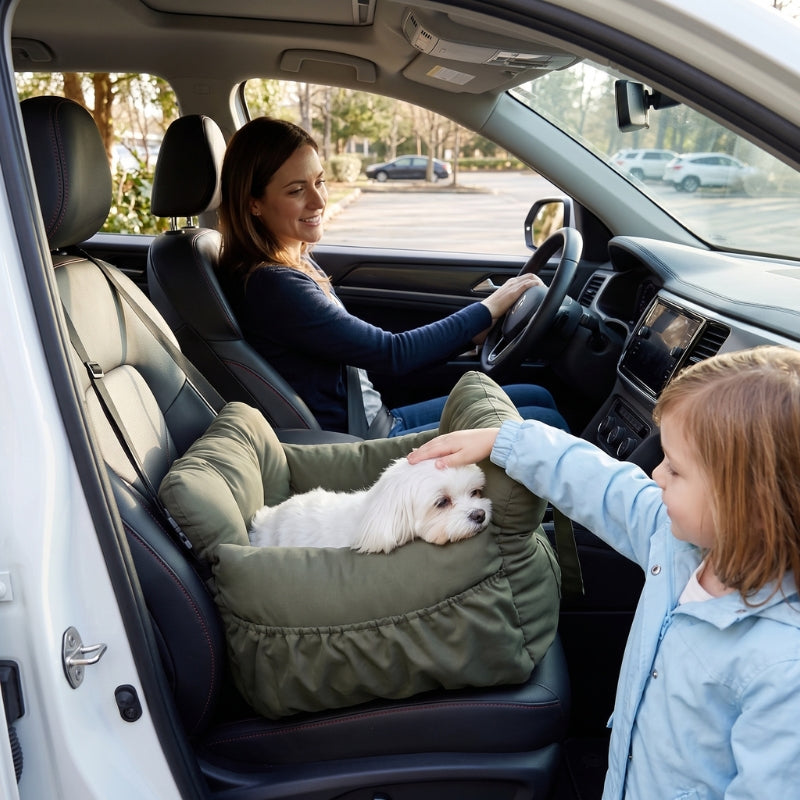 Siège auto pour chien enfants caresse le chien