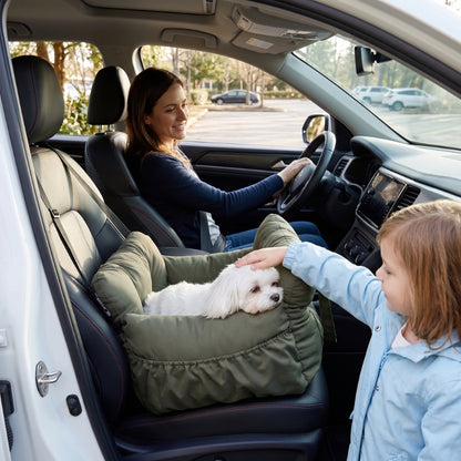 Siège auto pour chien enfants caresse le chien