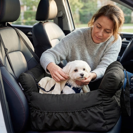 Siège auto pour chien une femme ajuste la ceinture de son chien