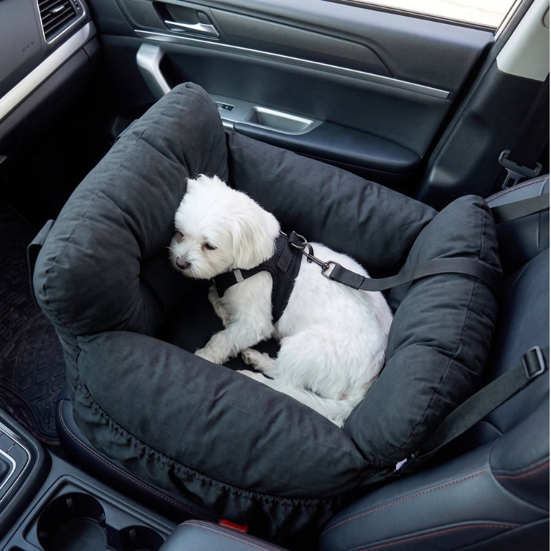 Siège auto pour chien sur la banquette arrière