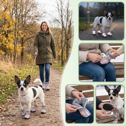 Chaussure pour chien rose sur un chihuahua blanc et noir avec quatre scènes de démonstration