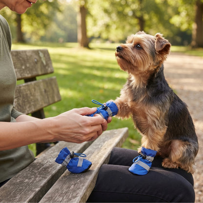 Chaussures pour chien bleues ajustées sur un petit chien assis sur un banc