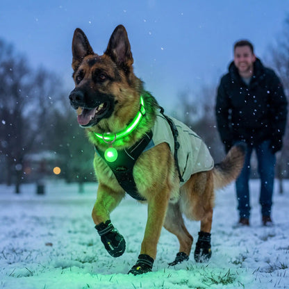 Collier lumineux chien vert avec bottes harnais et neige