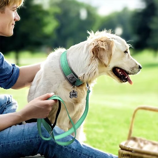 Collier chien bleu une dame tient son chien en laisse