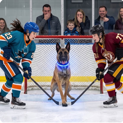 ollier-lumineux-chien-bleu-patinoire-hockey