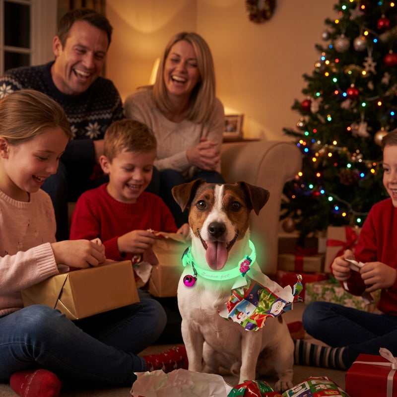 Collier lumineux chien fête de Noël avec sapin