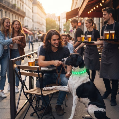 Collier lumineux chien jeune homme prend une bière sur une terrasse avec son chien