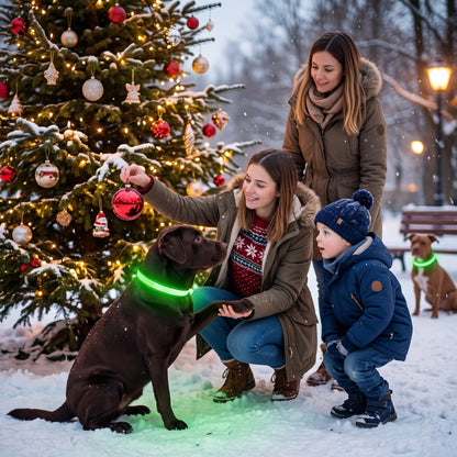 Collier lumineux chien vert avec une famille dans un décor de Noël enneigé