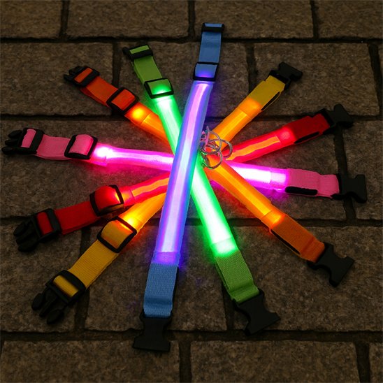 Collier lumineux pour chien couleur variée