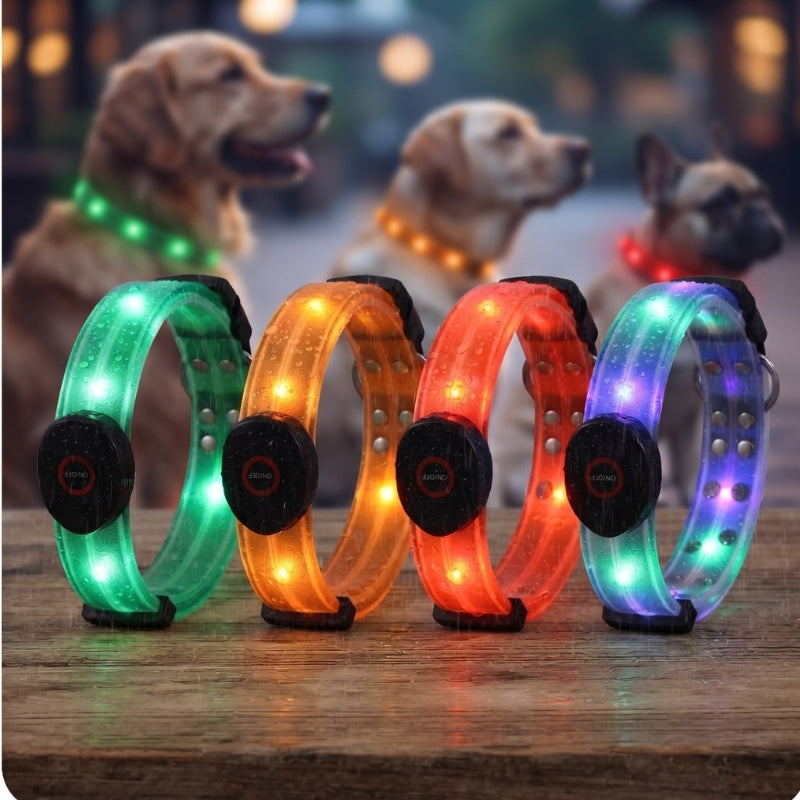 Collier lumineux pour chien couleurs quatre modèles