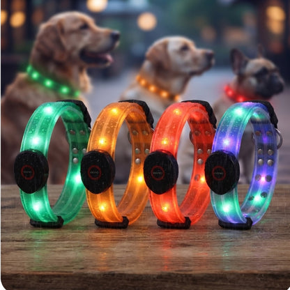 Collier lumineux pour chien couleurs quatre modèles