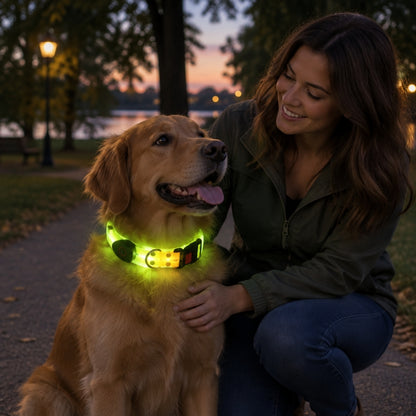 Collier lumineux pour chien Julie golden retriever parc