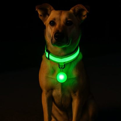 Collier lumineux pour chien vert