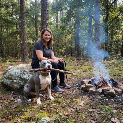 Collier pour chien aventure près du feu