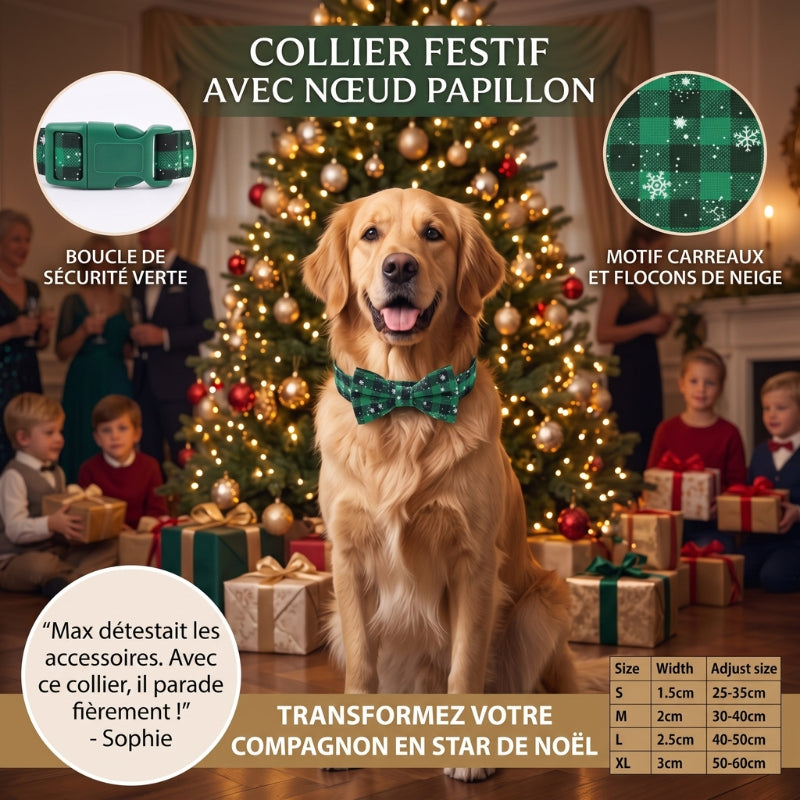 Collier pour chien caractéristiques du produit devant le sapin