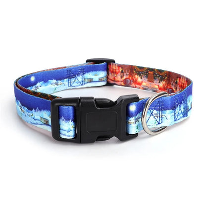 Collier pour chien couleur bleue