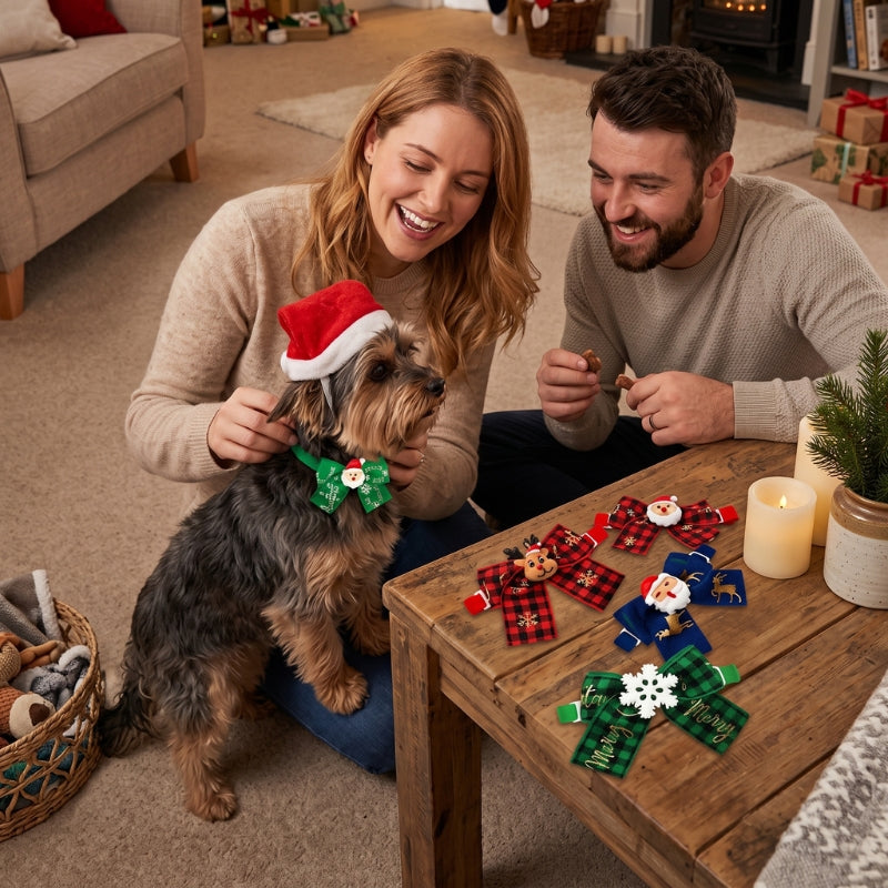 Collier pour chien couple le jour de Noël essaie différents colliers de Noël