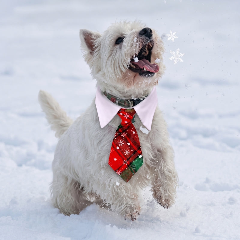 collier pour chien cravate de Noël rouge et verte chien blanc dans la neige