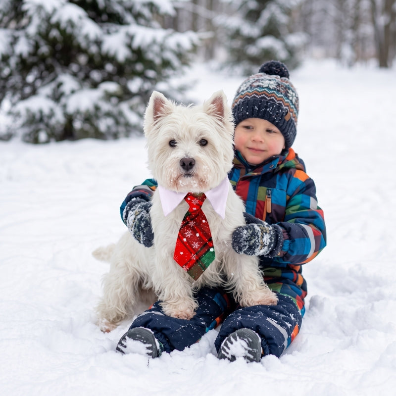 collier pour chien enfant et chien dans la neige avec cravate de Noël