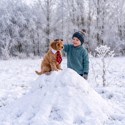 collier pour chien enfant et chiot dans la neige cravate rouge de Noël
