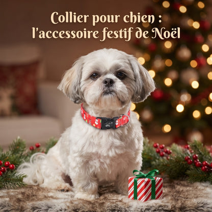 Collier pour chien jour de Noël le chien a un cadeau