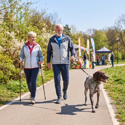 Collier pour chien promenade familiale au parc