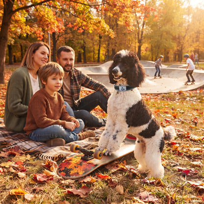 collier chien en automne avec la famille au parc planche a roulettes