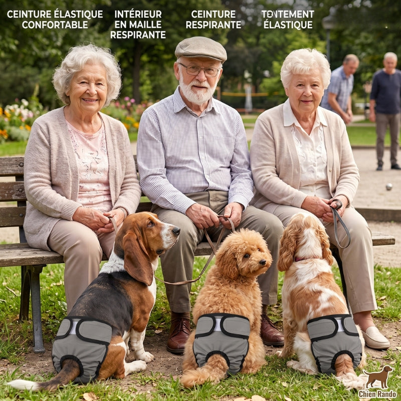 Couche pour chien amis assis sur un banc joueur de pétanque en arrière