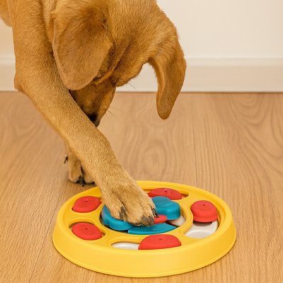 Gamelle anti glouton Chien jaune jouet