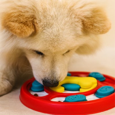Gamelle anti glouton Chien Rouge jouet