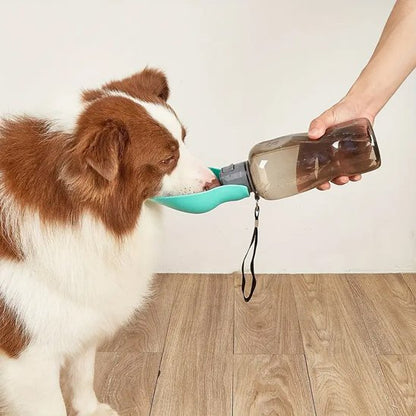 Gourde pour chien​ une main donne à boire au chien