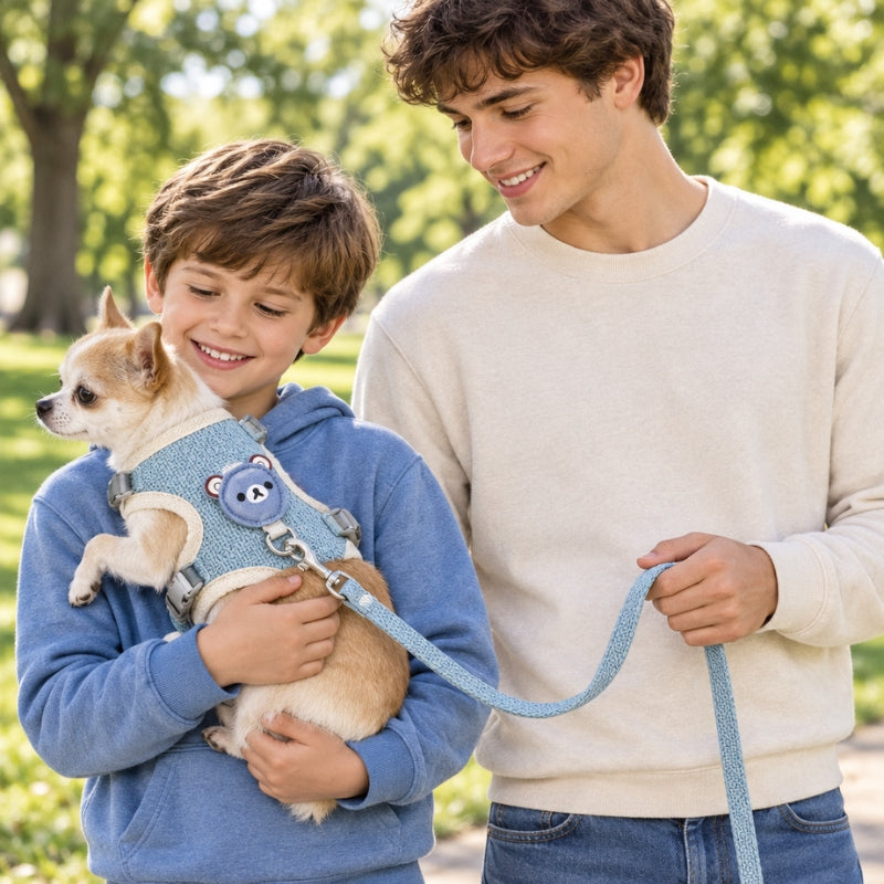 Harnais chien petite taille bleu à motif ourson chihuahua dans les bras du petit garçon près de son grand frère