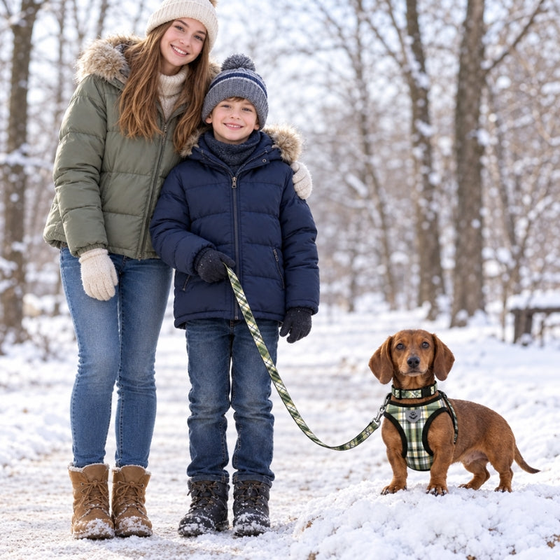 Harnais chien petite taille femme et garçon avec leur compagnon en forêt