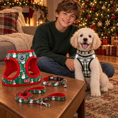 Harnais chien petite taille homme caressant son compagnon blanc près du sapin