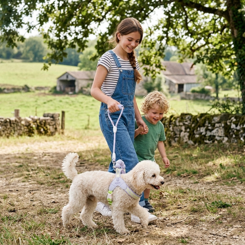 Harnais chien petite taille mauve adolescente et petit frère promenant un caniche à la campagne