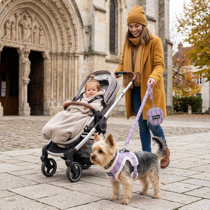 Harnais chien petite taille mauve yorkshire près d une femme avec une poussette devant une église