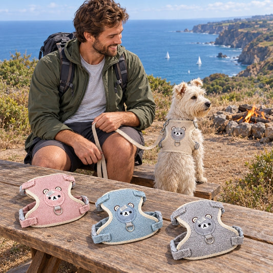 Harnais chien petite taille rose bleu et gris sur table randonneur avec terrrier en harnais beige face à la mer
