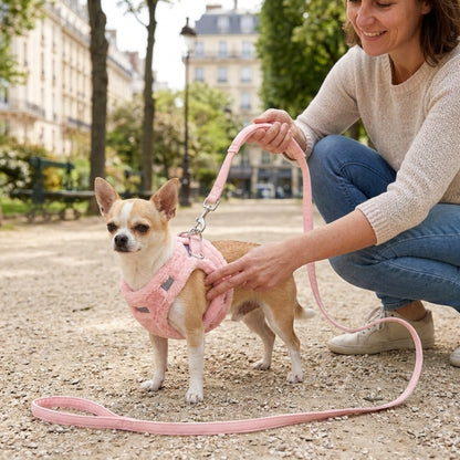 Harnais chien petite taille rose chihuahua au parc avec laisse tenue par une femme