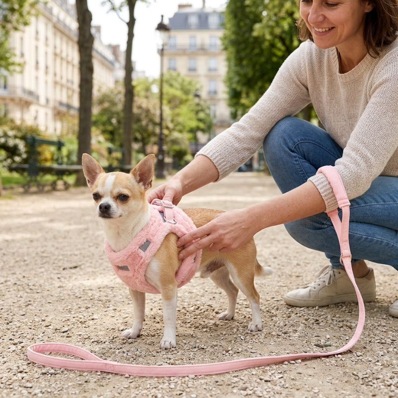 Harnais chien petite taille rose femme vérifiant ajustement sur un chihuahua au parc