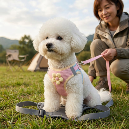Harnais chien petite taille rose sur un bichon assis sur un harnais gris près de sa propriétaire au camping