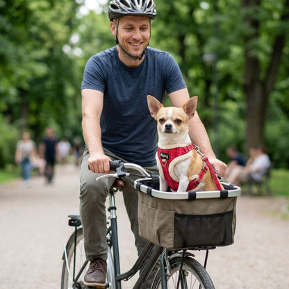 Harnais chien petite taille rouge chihuahua dans le panier avant du vélo d un homme