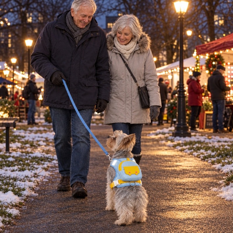 harnais chien randonnée réfléchissant chien avec un couple en soirée