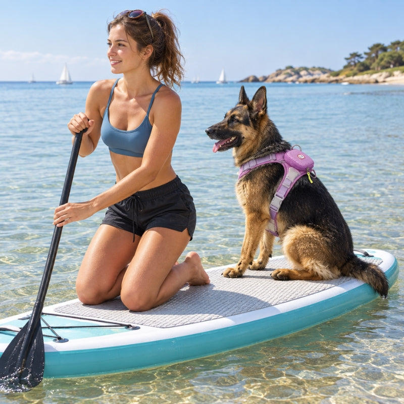 Harnais chien randonnée violet berger allemand derrière femme sur paddle